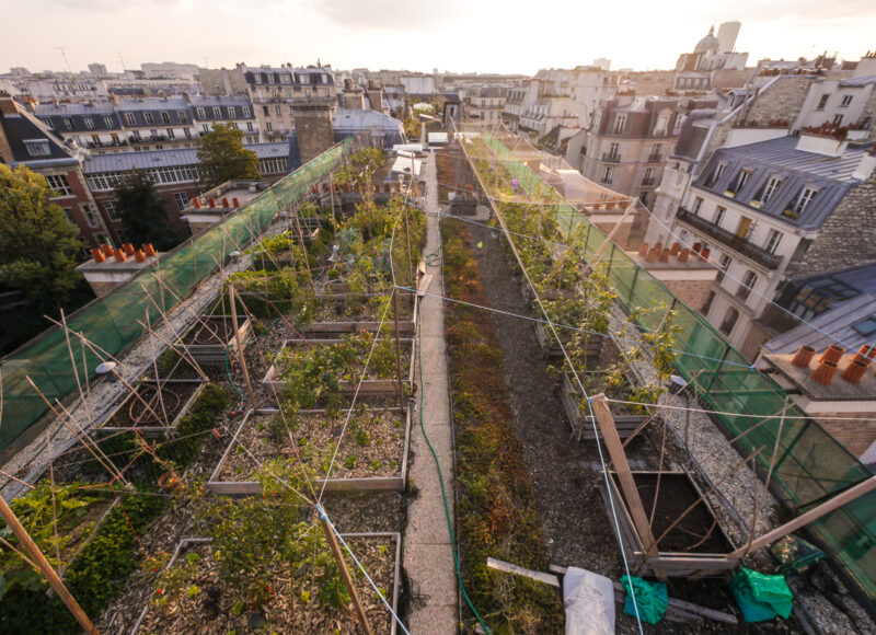 Rooftop vegetated garden at AgroParisTech in Paris