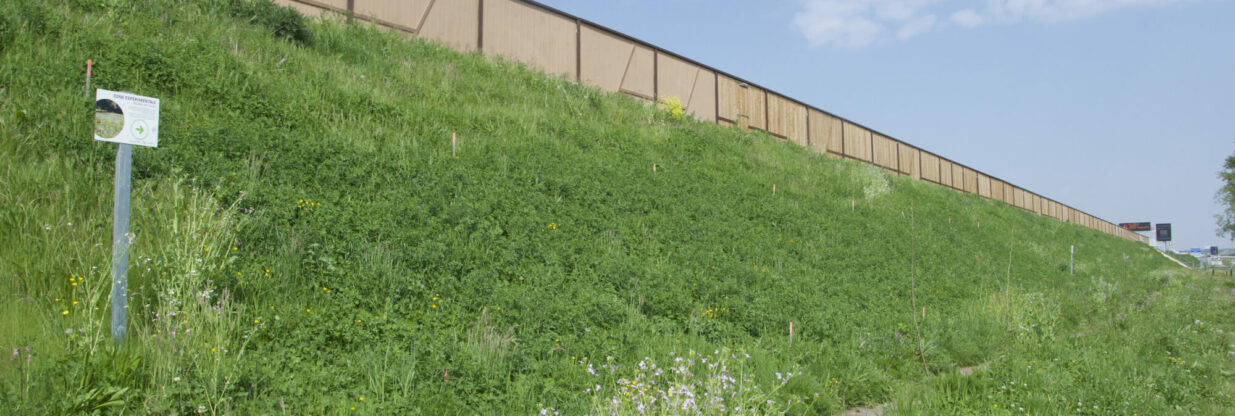 green infrastructure