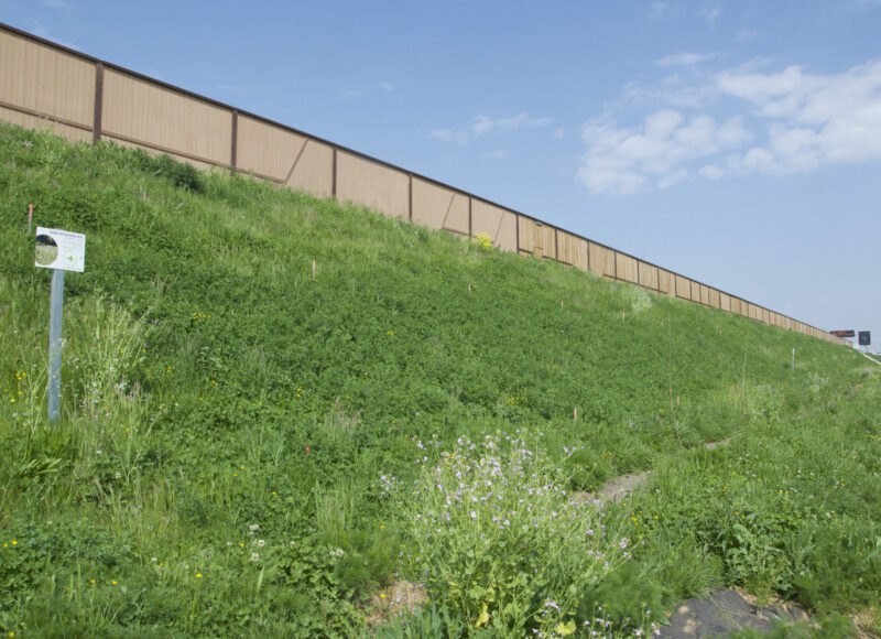 vegetalisation bords autoroutes