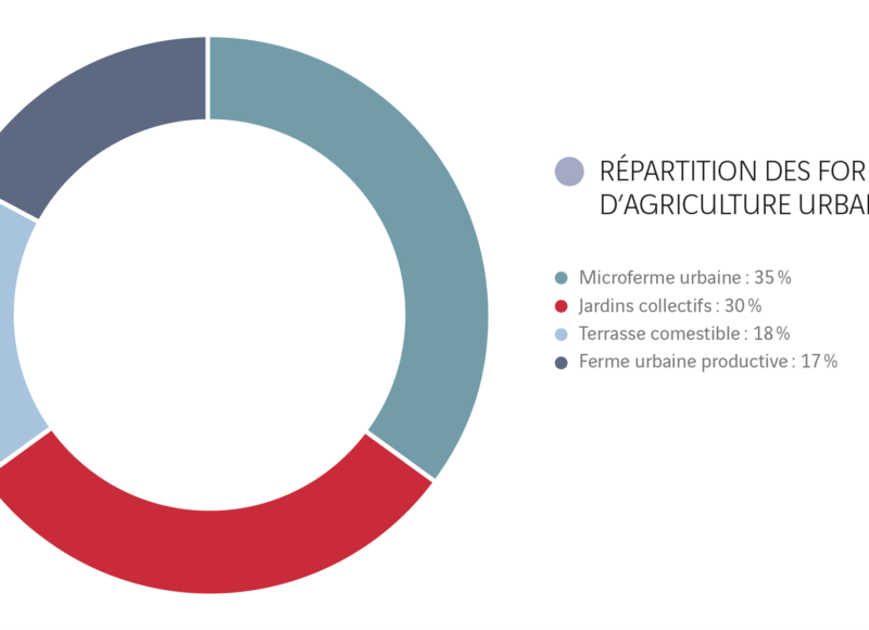 Les formes d'agriculture urbaine dans le monde