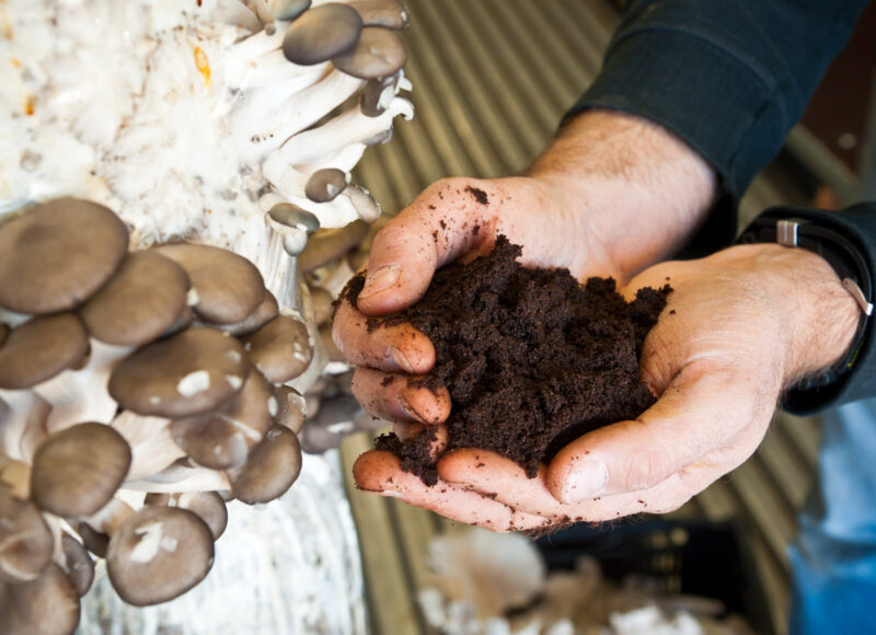 Micro Ferme Urbaine U FARM, Culture De Champignons