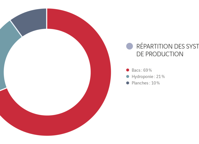 Systèmes de productions en agriculture urbaine en France