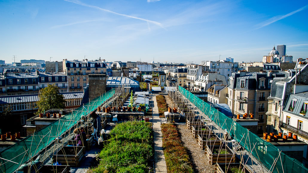 Vegetable garden on the rooftop of AgroParisTech
