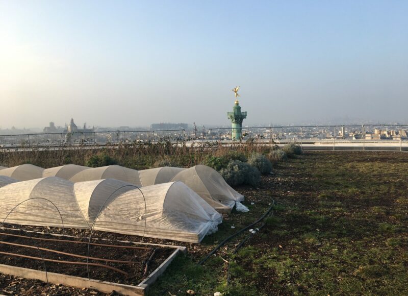 Vegetable garden on the rooftop of Opéra Bastille