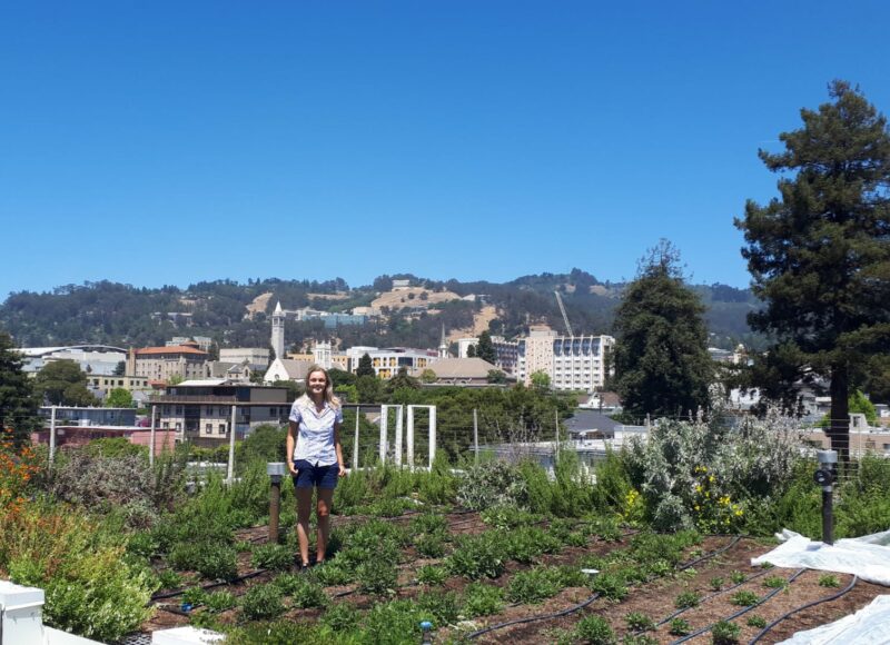 Erica Dorr on a rooftop vegetable garden